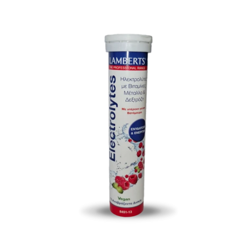 Lamberts Electrolytes Ηλεκτρολύτες με Γεύση Βατόμουρο, 13eff.tabs